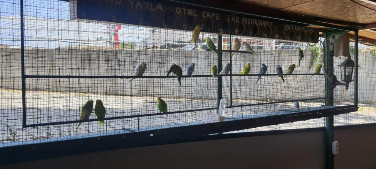 Grand Yayla Hotel Çeşme エクステリア 写真