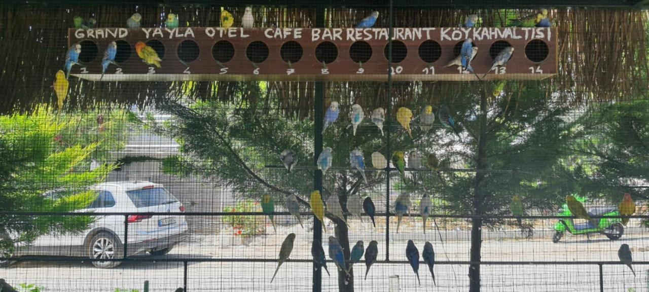 Grand Yayla Hotel Çeşme エクステリア 写真
